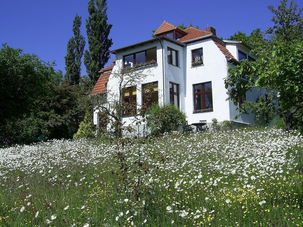 Ferienwohnungen Meerblick Herde Goehren  Quarto foto
